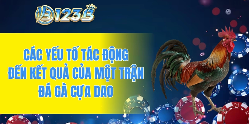 Các yếu tố tác động đến kết quả của một trận đá gà cựa dao