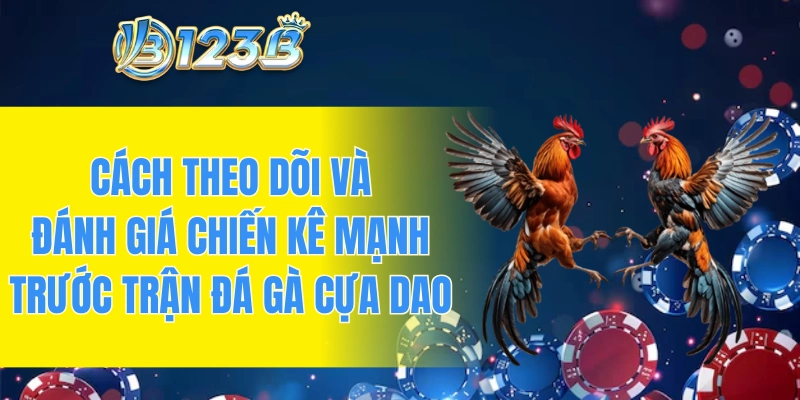 Cách theo dõi và đánh giá chiến kê mạnh trước trận đá gà cựa dao