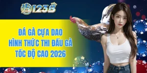 Đá gà cựa dao
