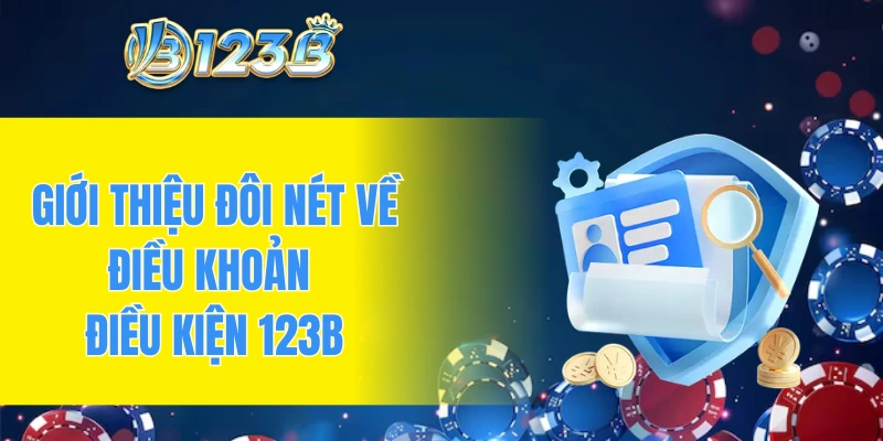 Giới thiệu đôi nét về điều khoản điều kiện 123B