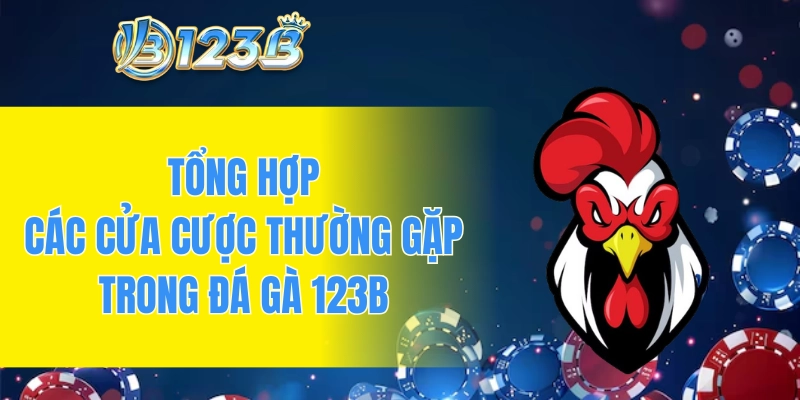 Tổng hợp các cửa cược thường gặp trong đá gà 123B